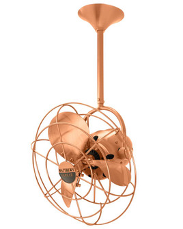 Bianca Direcional ceiling fan in Brushed Copper finish with metal blades. (230|BD-BRCP-MTL)