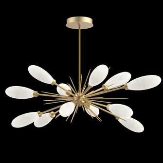 Fiori Oval Starburst Chandelier 50'' (1289|PLB0071-0A-GB-WL-001-L3)