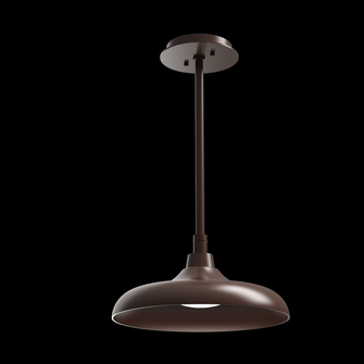 Outdoor Ranch Pendant-Statuary Bronze-Blown Glass (1289|OPB0074-01-SB-O-001-L2)