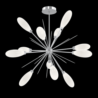 Fiori Starburst - Large (1289|CHB0071-0B-CS-WL-001-L3)