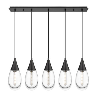 Malone - 5 Light - 38 inch - Matte Black - Linear Pendant (3442|125-450-1P-BK-G450-6CL)