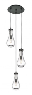 Owego - 3 Light - 13 inch - Matte Black - Multi Pendant (3442|113-451-1P-BK-G451-5CL)
