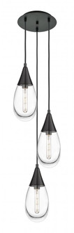 Malone - 3 Light - 14 inch - Matte Black - Multi Pendant (3442|113-450-1P-BK-G450-6CL)