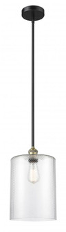 Cobbleskill - 1 Light - 9 inch - Black Antique Brass - Stem hung - Mini Pendant (3442|616-1S-BAB-G112-L)