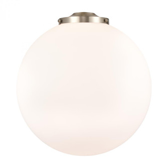 Beacon - 18 inch - Cased Matte White Glass (3442|G201-18)