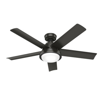Hunter 52 inch Seawall Noble Bronze WeatherMax Indoor / Outdoor Ceiling Fan with LED Light Kit and W (4797|52417)