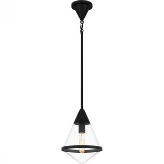 Hidalgo 1-Light Matte Black Mini Pendant Light (26|QPP6160MBK)