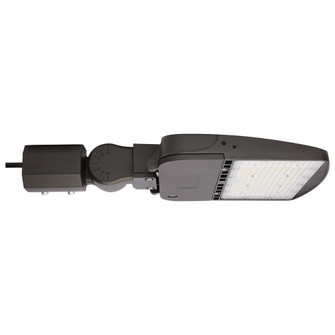 LED Area Light Type V; 100W; Bronze Finish; 4000K; 277-480V (81|65/860/5)