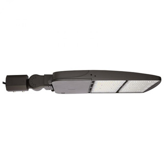 LED Area Light Type IV; 240W; Bronze Finish; 5000K; 120-277V (81|65/847/4)