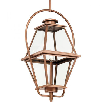 Bradshaw Collection One-Light Antique Copper Clear Glass Transitional Outdoor Hanging Lantern (149|P550138-169)
