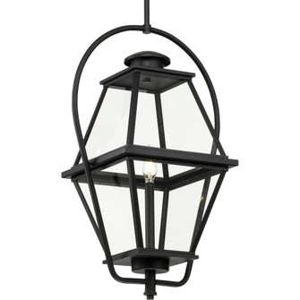 Bradshaw Collection One-Light Textured Black Clear Glass Transitional Outdoor Hanging Lantern (149|P550138-031)