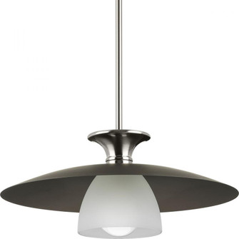 P500394-009 1-L PENDANT (149|P500394-009)
