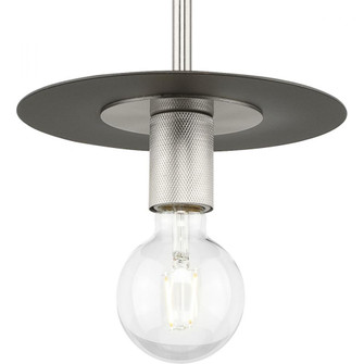 P500392-009 1-L MINI-PENDANT (149|P500392-009)