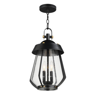 Mariner-Outdoor Pendant (19|30623CDBKAB)