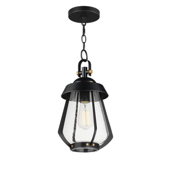 Mariner-Outdoor Pendant (19|30621CDBKAB)