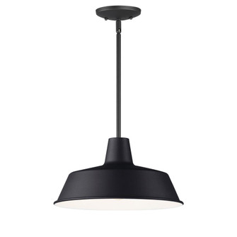 Pier M-Outdoor Pendant (19|35019BK)