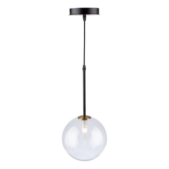 Aurelia Collection 1-Light Pendant, Matte Black & Brass (12|AC11761VB)