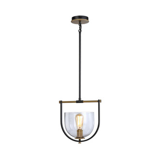 Cheshire Collection 1-Light Pendant, Black & Brass (12|AC11741BB)