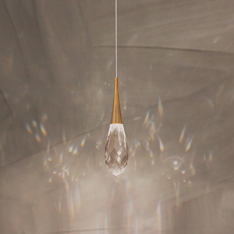 Hibiscus 1 Light LED 3000K/3500K/4000K 120V-277V Mini Pendant in Black with Clear Optic Crystal (1118061|BPD21213-BK)