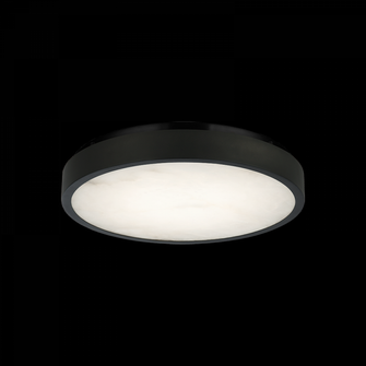 15'' Diam '' Marblestone'' Matte Black Ceiling Mount (3605|X05915MB)