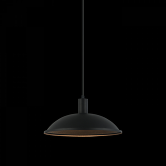 1 LT 12'' Diam ''Farmley'' Matte Black Pendant (3605|C81901MB)