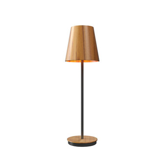Conical Accord Table Lamp 7078 (9485|7078.12)