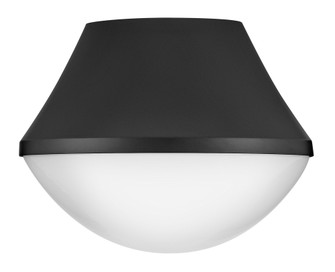 Small Flush Mount (1118101|83411BK)