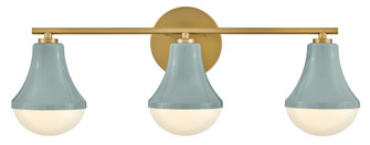 Medium Three Light Vanity (1118101|85513SF)