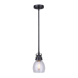 CARSON, IPL705A01BK, MBK Color, 1 Lt Rod Pendant, Seeded Glass, 100W Type A, 5'' W x 11 - 59'' (801|IPL705A01BK)