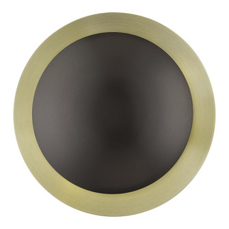 2 Light English Bronze Medium Semi-Flush/ Wall Sconce with Antique Brass Reflector Backplate (108|56571-92)