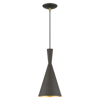 1 Light Bronze Pendant with Antique Brass Finish Accents (108|41185-07)