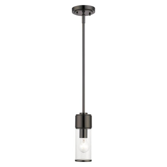 1 Light Black Chrome Mini Pendant (108|17140-46)