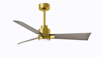 Alessandra-42'' Three Blade Transitional Ceiling Fan-5CCT Integrated LED-Brushed Brass Finish (230|AKLK-BRBR-GA-42)
