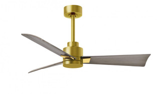 Alessandra 3-blade transitional ceiling fan in brushed brass finish with gray ash blades. Optimize (230|AK-BRBR-GA-42)