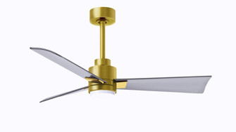 Alessandra 3-blade transitional ceiling fan in a brushed brass finish with brushed nickel blades. (230|AKLK-BRBR-BN-42)