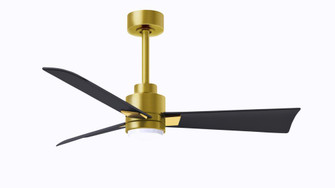 Alessandra 3-blade transitional ceiling fan in brushed brass finish with matte black blades. Optim (230|AKLK-BRBR-BK-42)