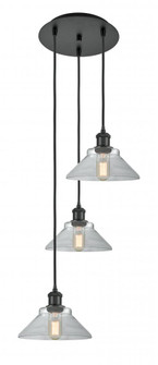 Orwell - 3 Light - 15 inch - Matte Black - Cord Hung - Multi Pendant (3442|113B-3P-BK-G132)