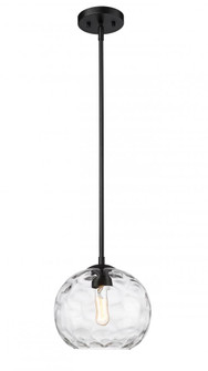 1 Light Pendant (276|490P10-MB)