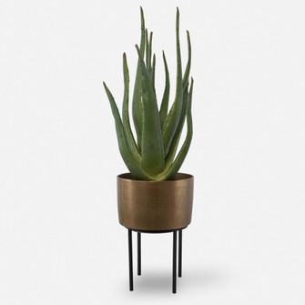 Uttermost Arabia Aloe Planter (85|60217)