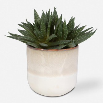 Uttermost Doha Succulent Accent (85|60213)