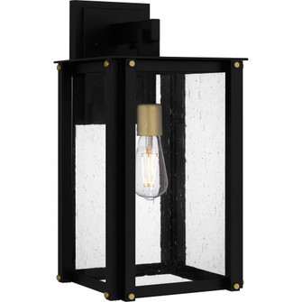 Robbins Outdoor Lantern (26|ROB8409MBK)