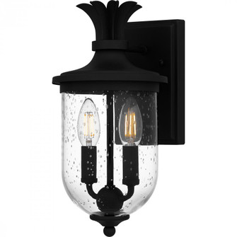 Havana 2-Light Earth Black Outdoor Wall Lantern (26|HVN8406EK)