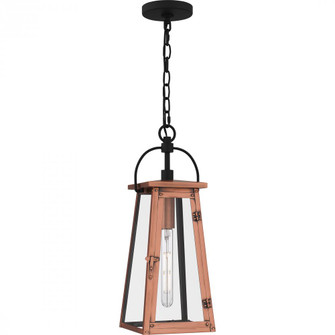Carolina Outdoor Lantern (26|CLN1907AC)