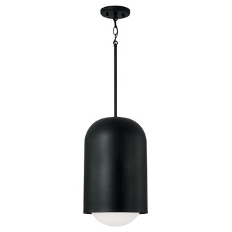 1 Light Pendant (42|351612BI)