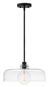 Medium Pendant (1118101|83497BK)