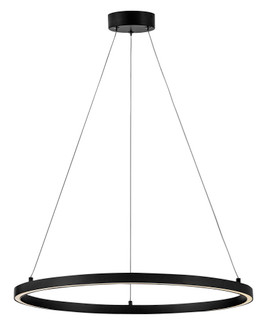 Medium Single Tier (1118101|83464BK)