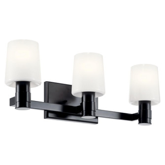 Adani 24 Inch 3 Light Vanity with Opal Glass in Black (10687|55176BK)