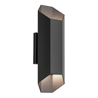 Estella 16.5'' LED 2-Light Outdoor Wall Light in Black (10687|49608BKLED)