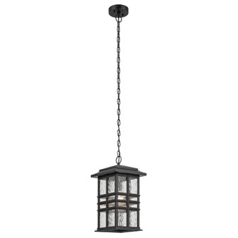 Outdoor Pendant 1Lt (10687|49833BKT)