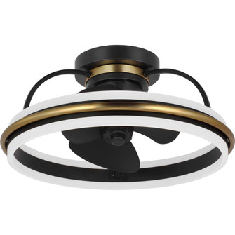 P250116-31M-30 CLG FAN (149|P250116-31M-30)